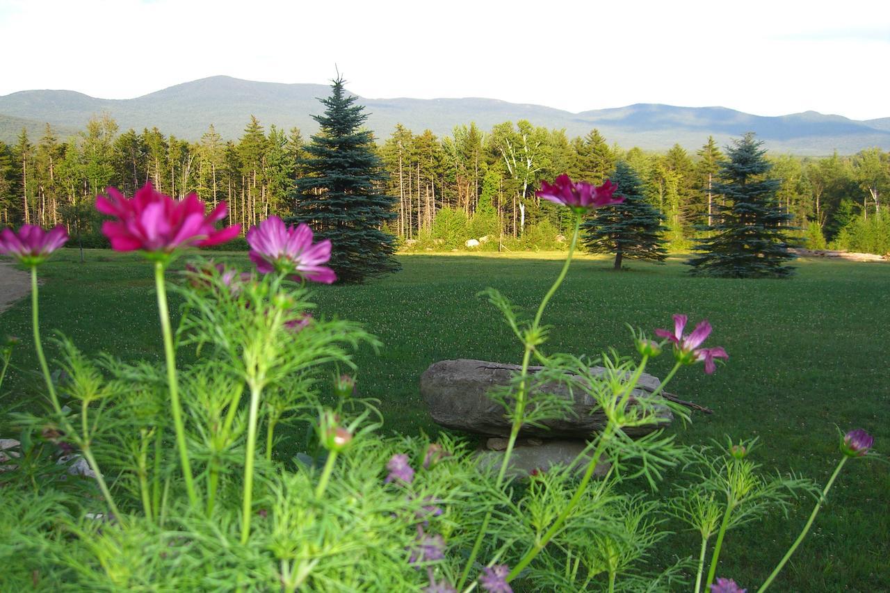 Robert Frost Mountain Cabins Middlebury Extérieur photo